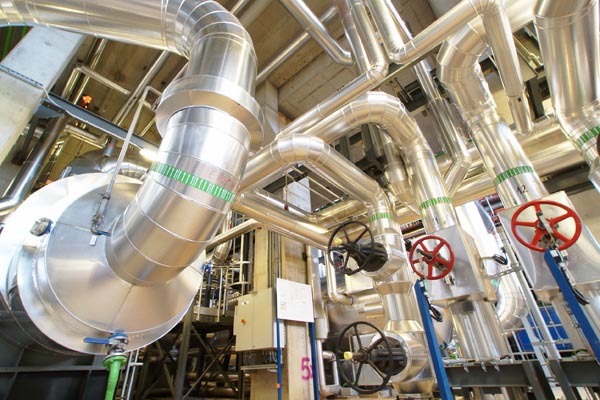 Vector Systems and the Environment